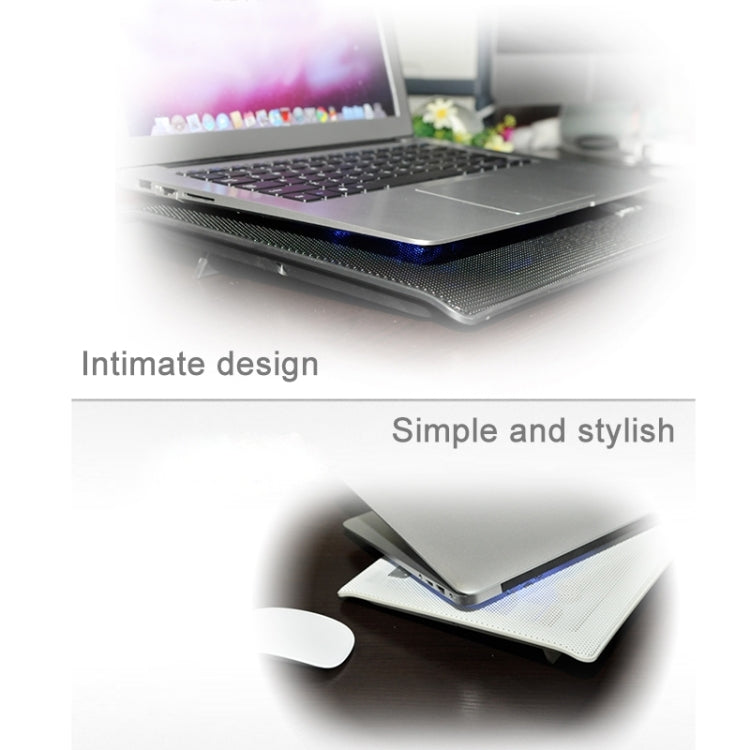 PC0331B_9.jpg@ada07da6b9a45078e58f52d36996460f