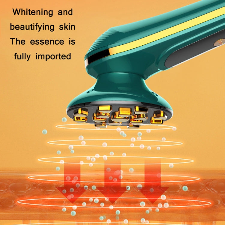 Beemyi DY-104 Facial Thermal Maggie RF Radio Frequency Imported Beauty Apparatus(Ink Green) - free shipping - PMC TechLife - Order now!