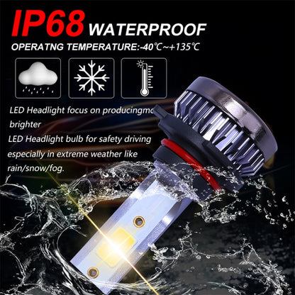 2 PCS 9005 DC9-36V / 36W / 3000K / 6000LM IP68 Car / Motorcycle Mini COB LED Headlight Lamps / Fog Light(Gold Light) - LED Headlamps by PMC Jewellery | Online Shopping South Africa | PMC Jewellery | Buy Now Pay Later Mobicred