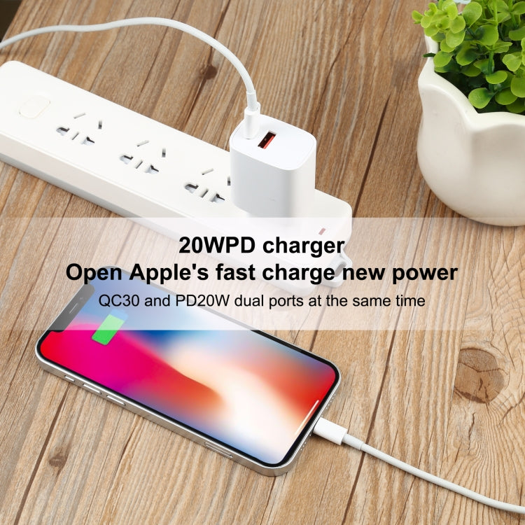 T087 20W USB-C / Type-C + USB Ports Charger with 100W Type-C to 8 Pin Fast Charging Cable 1m, EU Plug - USB Charger by PMC Jewellery | Online Shopping South Africa | PMC Jewellery | Buy Now Pay Later Mobicred