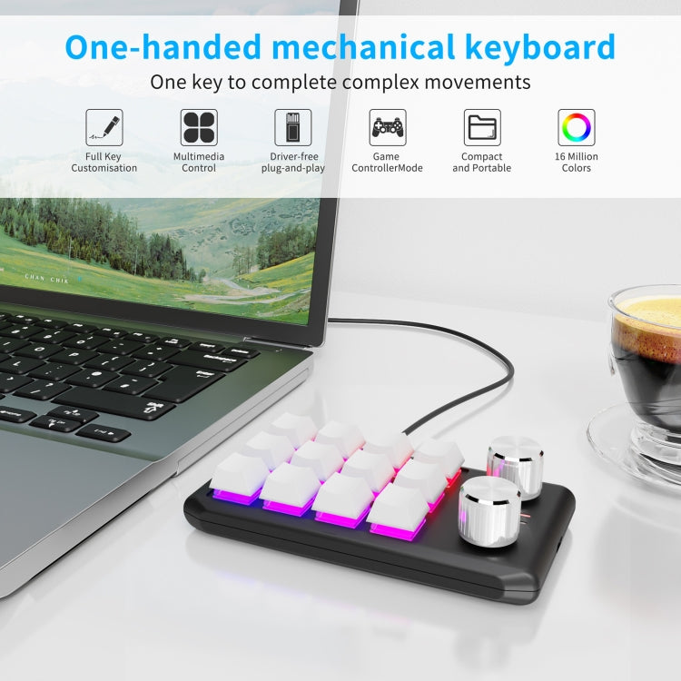 USB Wired 12KV2 MOLD Mini Mechanical 12 Keys 2 Knob Custom Programming Keyboard(White) - Mini Keyboard by PMC Jewellery | Online Shopping South Africa | PMC Jewellery | Buy Now Pay Later Mobicred