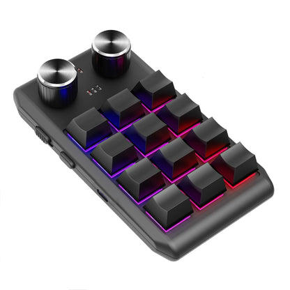 Bluetooth Wireless 12KV2 MOLD Mini Mechanical 12 Keys 2 Knob Custom Programming Keyboard(Black) - Mini Keyboard by PMC Jewellery | Online Shopping South Africa | PMC Jewellery