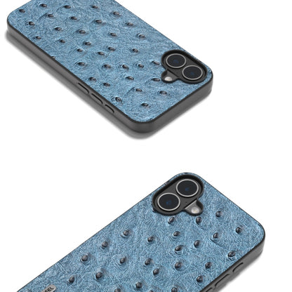 For iPhone 16 ABEEL Genuine Leather Ostrich Texture Phone Case(Blue) - iPhone 16 Cases by PMC Jewellery | Online Shopping South Africa | PMC Jewellery | Buy Now Pay Later Mobicred