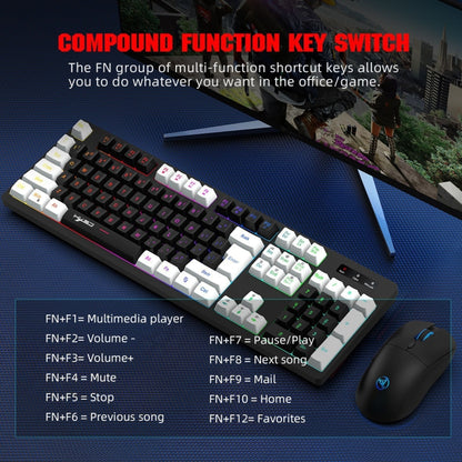 HXSJ L98 2.4G Wireless RGB Keyboard and Mouse Set 104 Keys + 1600DPI Mouse(Black) - Wireless Keyboard by HXSJ | Online Shopping South Africa | PMC Jewellery | Buy Now Pay Later Mobicred