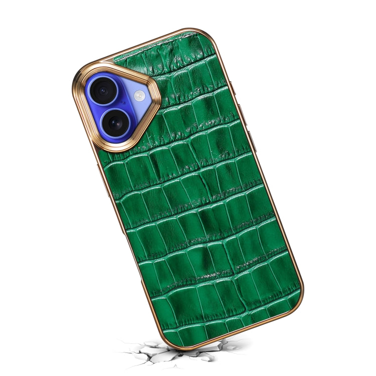 For iPhone 16 Plus Denior Crocodile Texture Genuine Leather Electroplating Phone Case(Green) - More iPhone Cases by Denior | Online Shopping South Africa | PMC Jewellery | Buy Now Pay Later Mobicred