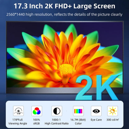 17.3 inch UHD 2560x1440P IPS Screen Portable Monitor(No Charger) - LCD Monitors by PMC Jewellery | Online Shopping South Africa | PMC Jewellery | Buy Now Pay Later Mobicred