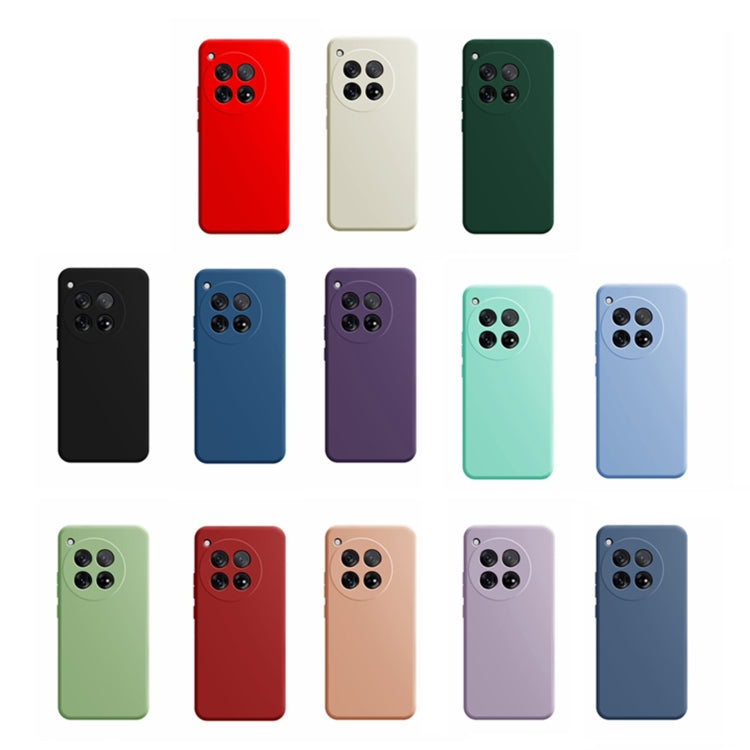 For OnePlus 12 Imitation Liquid Silicone Phone Case(Blue) - free shipping - PMC TechLife - Order now!