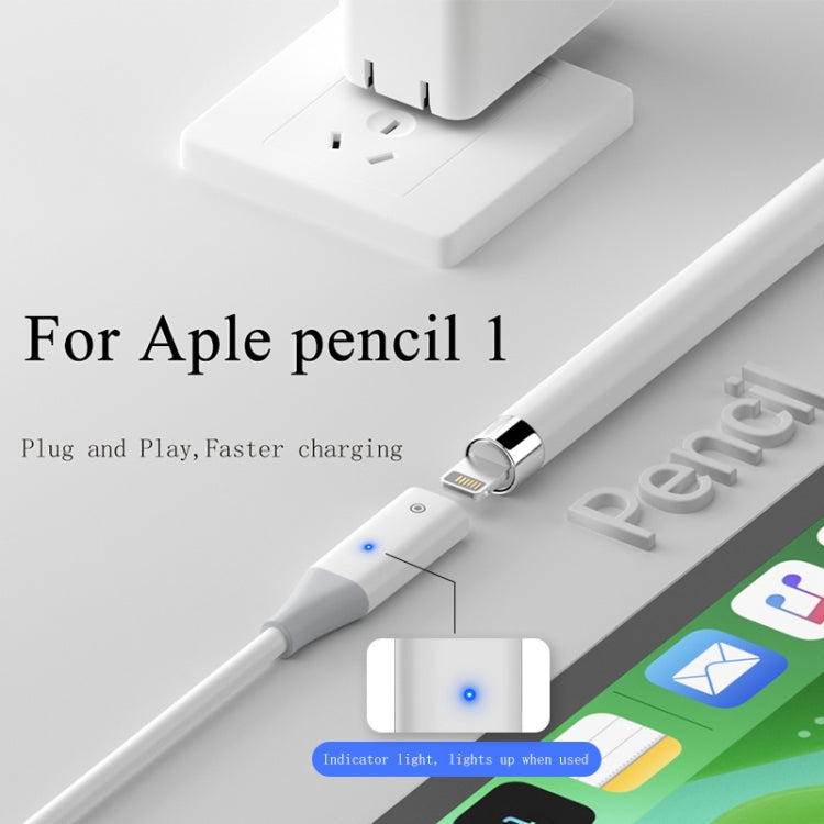 For Apple Pencil 1 USB-C / Type-C to 8 Pin Stylus Charging Cable with Indicator Light, Length:1m(White) - Pencil Accessories by PMC Jewellery | Online Shopping South Africa | PMC Jewellery | Buy Now Pay Later Mobicred