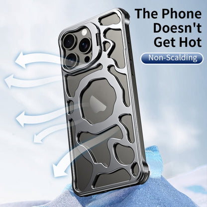 For iPhone 16 Pro Auspicious Cloud Series MagSafe Metal Phone Case with Bracket(Silver) - iPhone 16 Pro Cases by PMC Jewellery | Online Shopping South Africa | PMC Jewellery | Buy Now Pay Later Mobicred