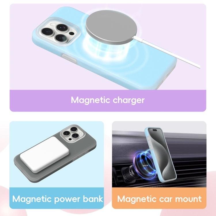 For iPhone 16 Pro Jelly Liquid Silicone MagSafe Magnetic Phone Case(Grey) - iPhone 16 Pro Cases by PMC TechLife | Online Shopping South Africa | PMC TechLife | Buy Now Pay Later Mobicred
