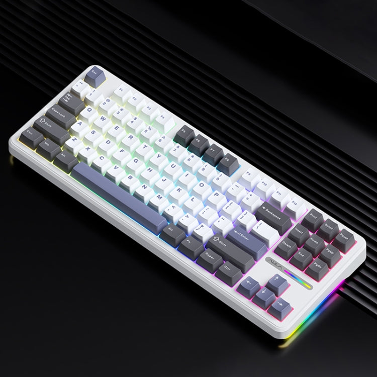 AULA F87 87 Keys Wired/2.4G/Bluetooth Three Model Customized RGB Mechanical Keyboard(White Grey Blue) - free shipping - PMC TechLife - Order now!