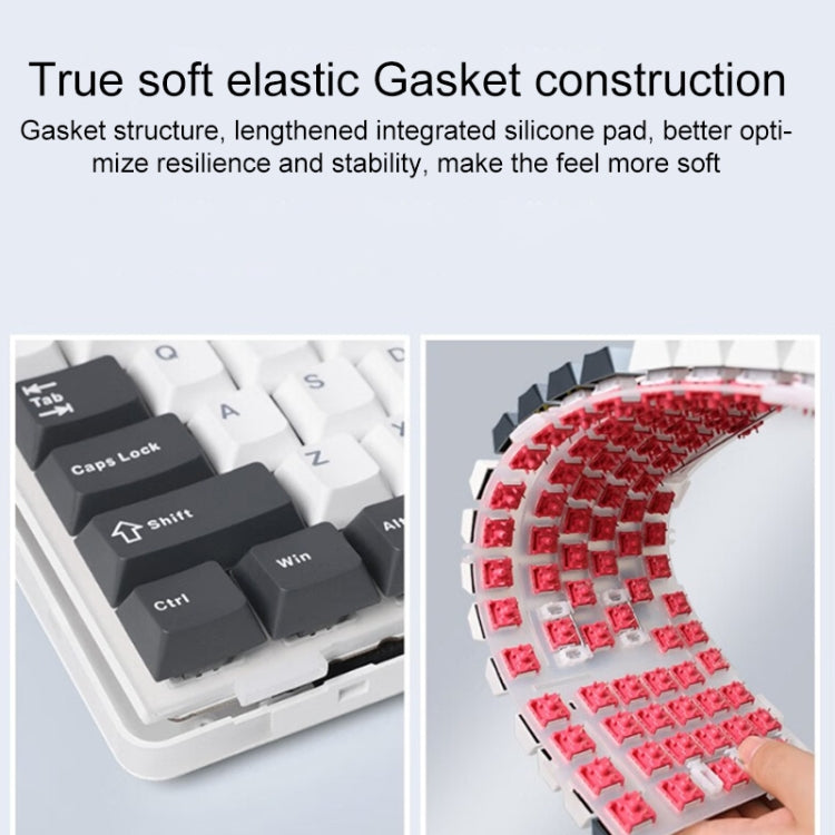 AULA F87 87 Keys Wired/2.4G/Bluetooth Three Model Customized RGB Mechanical Keyboard(White Black Green) - free shipping - PMC TechLife - Order now!