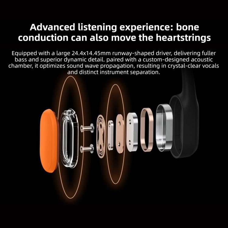 EDA008606301_B8.jpg@a9ac77b89f406135b092956237e8682c