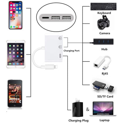 3 in 1 8 Pin Male to Dual USB Female Port Camera Adapter - Converter & Adapter by PMC Jewellery | Online Shopping South Africa | PMC Jewellery | Buy Now Pay Later Mobicred