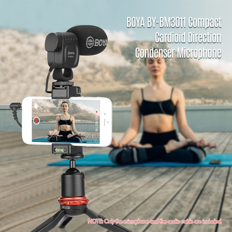 BOYA Portable Mini Condenser Live Show Video Recording Microphone for DSLR / Smart Phones - Camera Microphone by BOYA | Online Shopping South Africa | PMC Jewellery | Buy Now Pay Later Mobicred