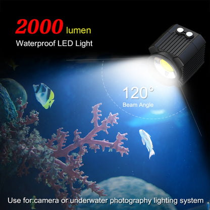 PULUZ 60m Underwater LED Photography Fill Light 7.4V/1100mAh Diving Light for GoPro Hero12 Black / Hero11 /10 /9 /8 /7 /6 /5, Insta360 Ace / Ace Pro, DJI Osmo Action 4 and Other Action Cameras(Black) - Waterproof Light by PULUZ | Online Shopping South Africa | PMC Jewellery | Buy Now Pay Later Mobicred