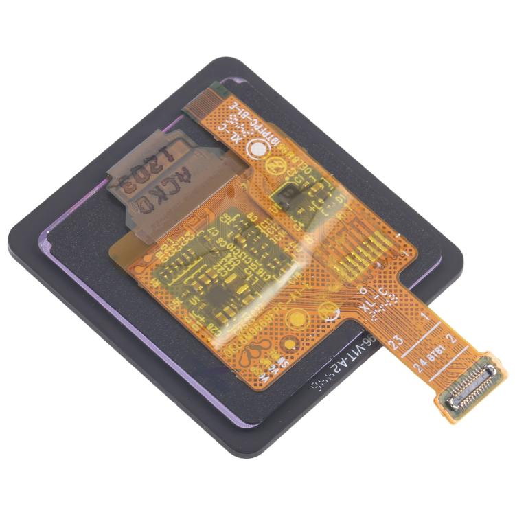 RPS0726_3.jpg@77bb94f10f73e071c3edef7533b57221