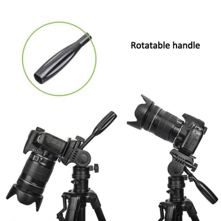 SYA0028450_3.jpg@0b1750ca85ad06a775dc708bb4cd6f72