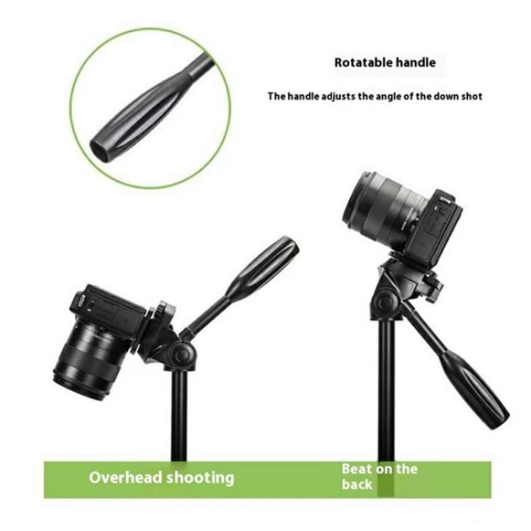 SYA0028716_2.jpg@f2ea3a938ff7cd017ad1701d7031f1a3