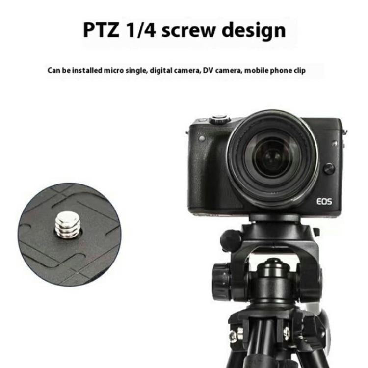 SYA0028716_6.jpg@689c2235aa0238c74ddf72a722a696be