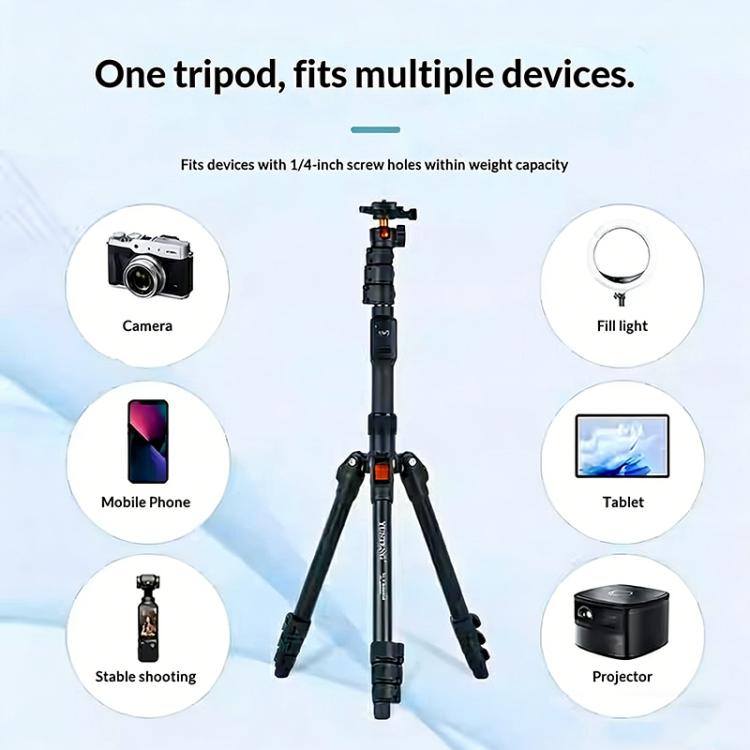 SYA0032152_4.jpg@292b797daeb83f7a17144daf8ff425ed