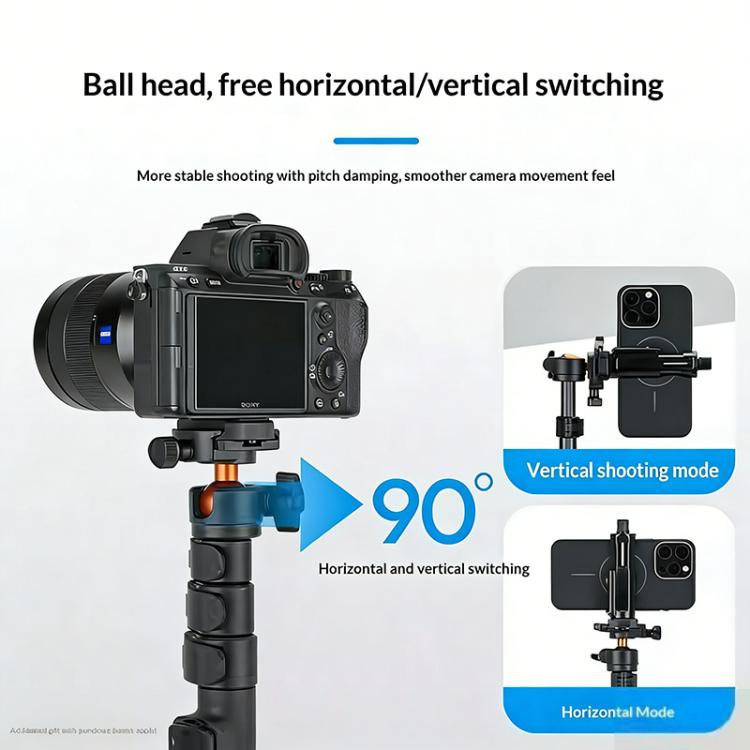 SYA0032152_5.jpg@d616b1d0fd99d5b7697ee57cc629ec1f