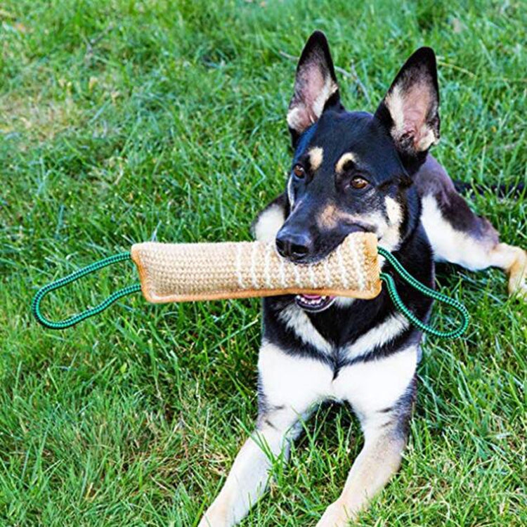 Dog Training Hemp Bite Stick Dog Bite Stick Dog Training Supplies(A3) - Training Aids by PMC Jewellery | Online Shopping South Africa | PMC Jewellery | Buy Now Pay Later Mobicred