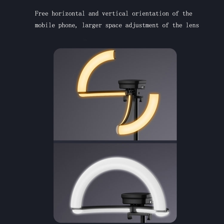 CYKE One-Piece Live Invisible Bracket Beauty Filling Light(Black) - Selfie Light by CYKE | Online Shopping South Africa | PMC Jewellery | Buy Now Pay Later Mobicred