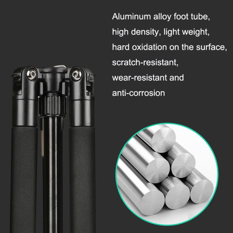 QingZhuangShiDai Q999S Portable Projector Photography Camera Live Gimbal Tripod(Black) - free shipping - PMC TechLife - Order now!