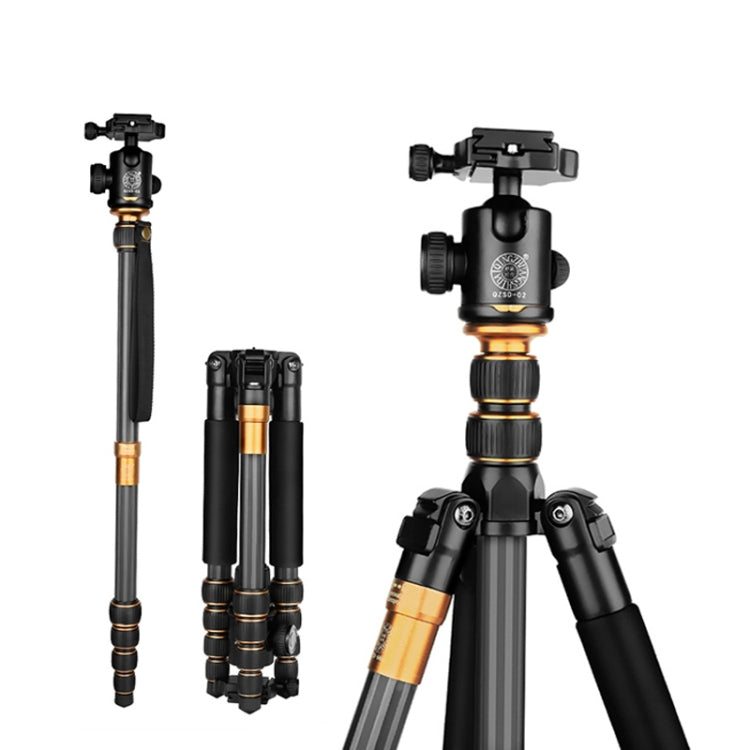 QingZhuangShiDai Q666C Portable Travel Photography Ball Head SLR Camera Carbon Fiber Tripod(Black) - free shipping - PMC TechLife - Order now!