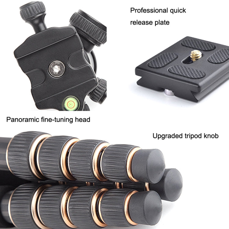 QingZhuangShiDai Q666C Portable Travel Photography Ball Head SLR Camera Carbon Fiber Tripod(Black) - free shipping - PMC TechLife - Order now!