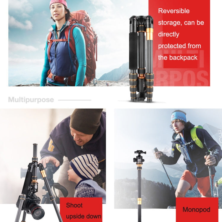 QingZhuangShiDai Q666C Portable Travel Photography Ball Head SLR Camera Carbon Fiber Tripod(Black) - free shipping - PMC TechLife - Order now!