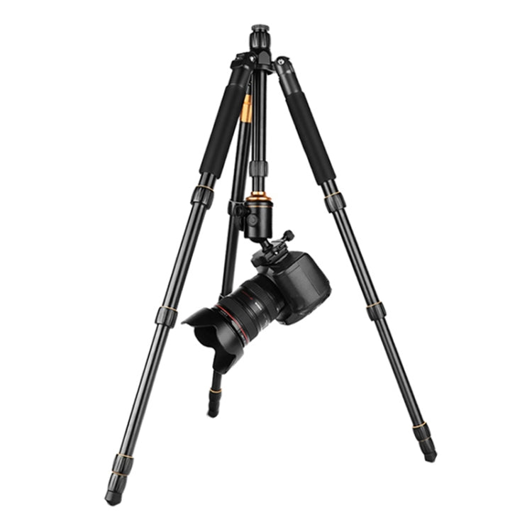 QingZhuangShiDai Q666 Portable Travel SLR Camera Aluminum Magnesium Alloy Tripod(Black) - free shipping - PMC TechLife - Order now!
