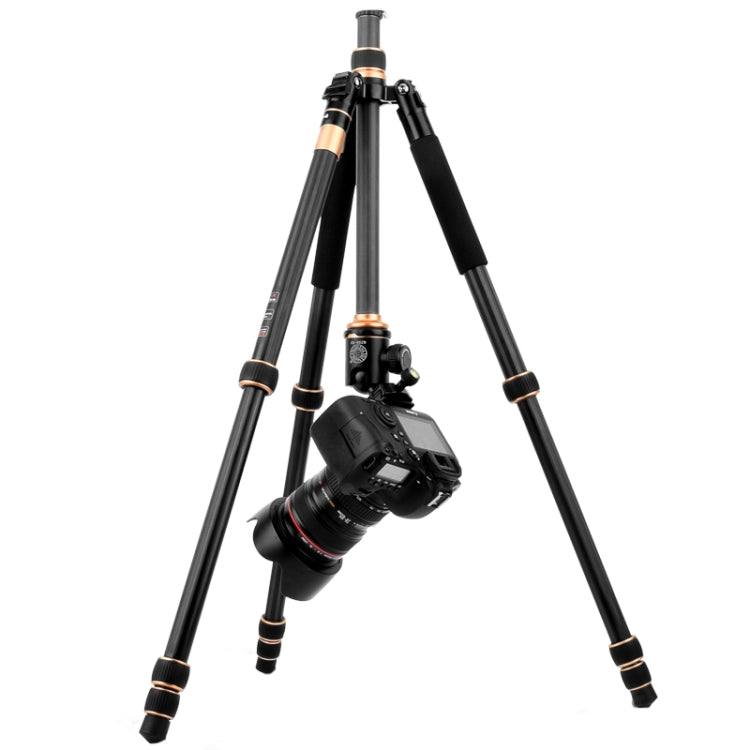 QingZhuangShiDai Q222C SLR Camera Carbon Fiber Portable Travel Tripod(Black) - free shipping - PMC Jewellery - Order now!