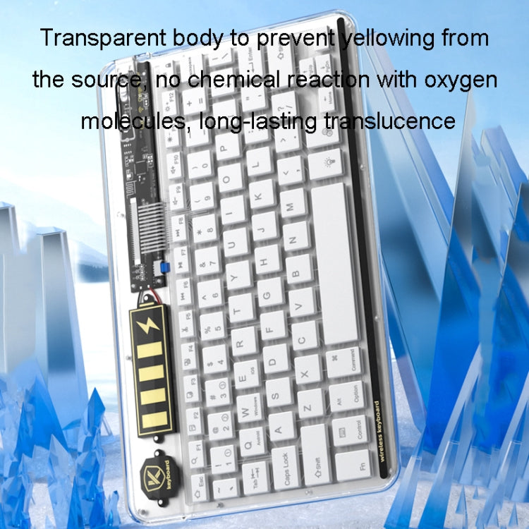 Transparent Lighting Bluetooth Keyboard 10 Inch Wireless Silent Keypad(Black) - Universal Keyboard by PMC TechLife | Online Shopping South Africa | PMC TechLife