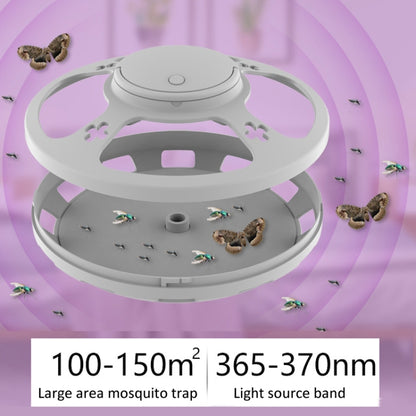 Flea Fly Mosquito Trap Cockroach House with Warm And Purple Light(Black) - Traps by PMC Jewellery | Online Shopping South Africa | PMC Jewellery | Buy Now Pay Later Mobicred