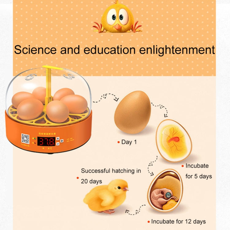 6-Eggs Small Household Experimental Children Smart Chicken Incubators, Spec: Dual-electric Automatic EU Plug - Incubators by PMC Jewellery | Online Shopping South Africa | PMC Jewellery