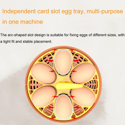 6-Eggs Small Household Experimental Children Smart Chicken Incubators, Spec: Manual UK Plug - Incubators by PMC Jewellery | Online Shopping South Africa | PMC Jewellery