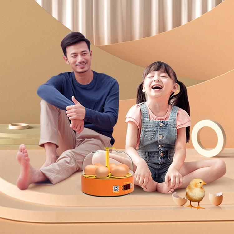 6-Eggs Small Household Experimental Children Smart Chicken Incubators, Spec: Manual US Plug - Incubators by PMC TechLife | Online Shopping South Africa | PMC TechLife | Buy Now Pay Later Mobicred
