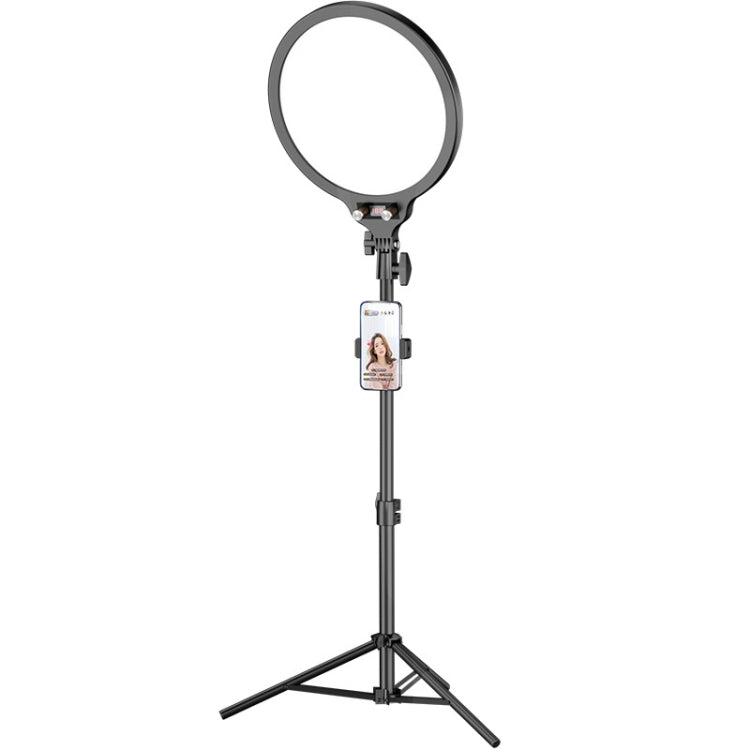 10.2 Inch Full-Screen Selfie Ring Light Tripod Set for Live Stream, Spec: 210cm Bracket - Selfie Light by PMC Jewellery | Online Shopping South Africa | PMC Jewellery | Buy Now Pay Later Mobicred