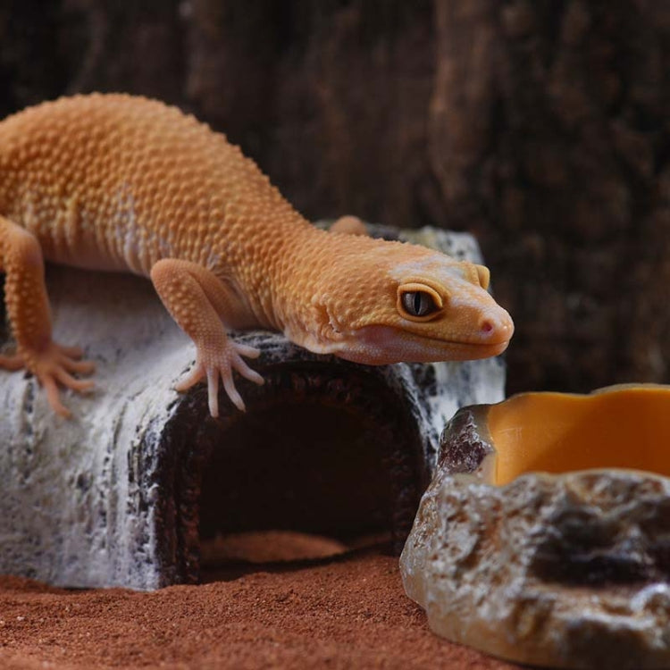 L Aquarium Birch Shape Hiding House Reptiles Lizards Aquascape - free shipping - PMC TechLife - Order now!