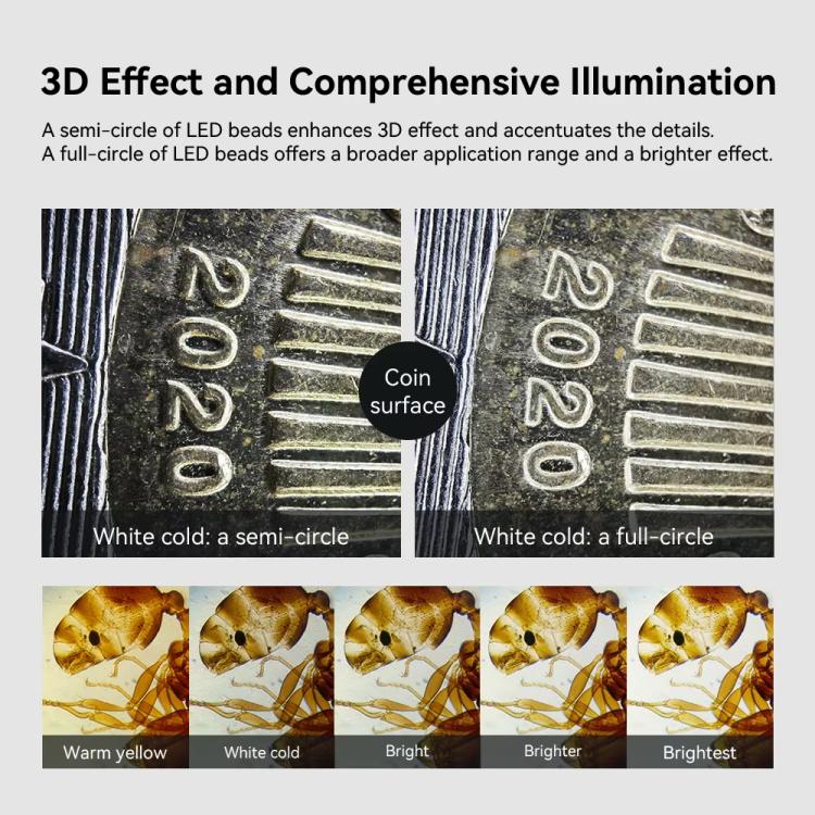 TBD06057130_B6.jpg@5f4e86b9a0ba1b972cc716e43e6b41ad