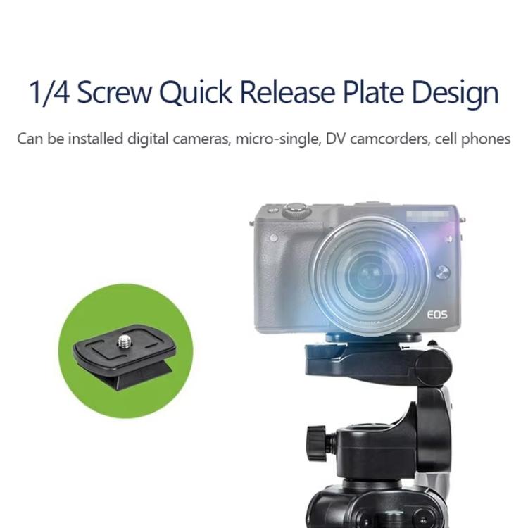 TBD06058976_B4.jpg@1eeb775d9a0c60800ff1d325dc623e18