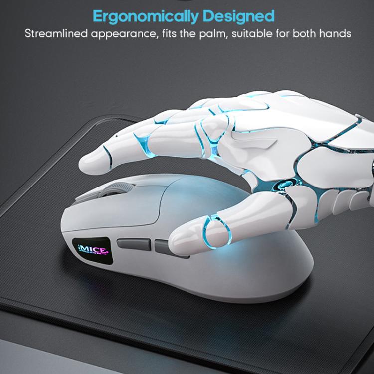 TBD06061640_B4.jpg@ff13c15f272083af4d7b6f2b2812bcf6