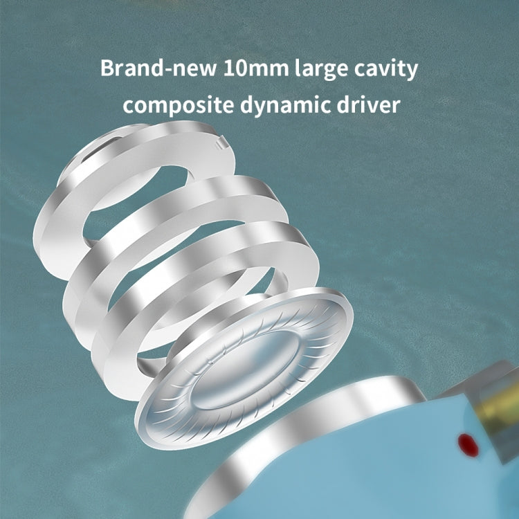 CVJ Hybrid Technology HiFi Music Wired Earphone With Mic(River) - free shipping - PMC TechLife - Order now!