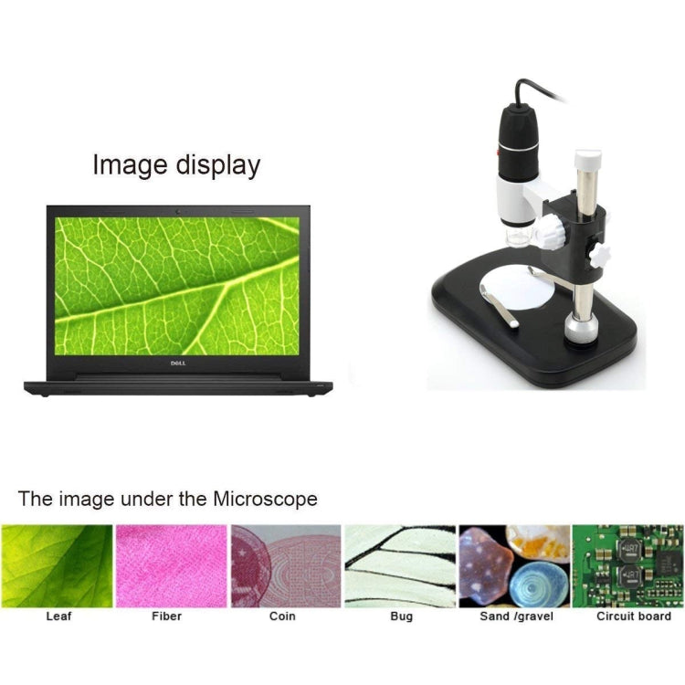 DMS-MDS800 40X-800X Magnifier 2.0MP Image Sensor USB Digital Microscope with 8 LEDs & Professional Stand - Digital Microscope by PMC Jewellery | Online Shopping South Africa | PMC Jewellery | Buy Now Pay Later Mobicred