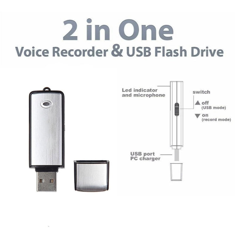 USB Voice Recorder + 8GB USB Flash Disk(Black) - Other Style by PMC Jewellery | Online Shopping South Africa | PMC Jewellery