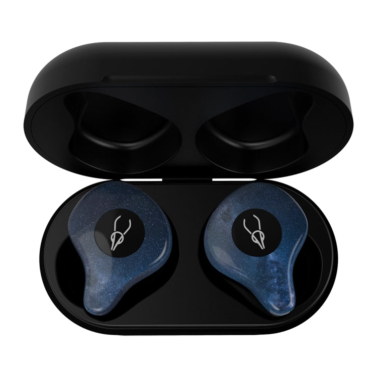 SABBAT X12PRO Mini Bluetooth 5.0 In-Ear Stereo Earphone with Charging Box, For iPad, iPhone, Galaxy, Huawei, Xiaomi, LG, HTC and Other Smart Phones(Here with You) - Bluetooth Earphone by Sabbat | Online Shopping South Africa | PMC Jewellery | Buy Now Pay Later Mobicred