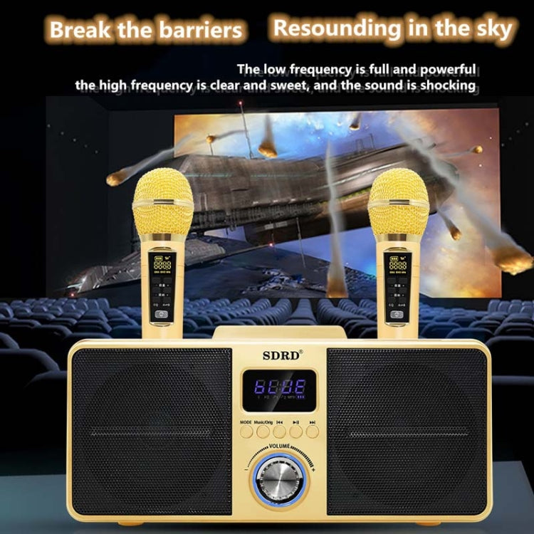 SDRD SD309 Wireless Microphone Bluetooth Audio All-In-One Machine(Black) - Microphone by PMC TechLife | Online Shopping South Africa | PMC TechLife