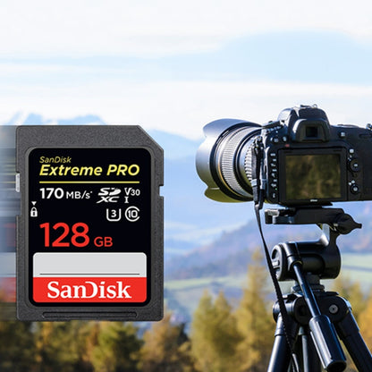 SanDisk Video Camera High Speed Memory Card SD Card, Colour: Black Card, Capacity: 128GB - SD Card by SanDisk | Online Shopping South Africa | PMC Jewellery | Buy Now Pay Later Mobicred